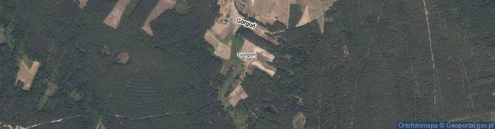 Zdjęcie satelitarne Gorgoń ul.